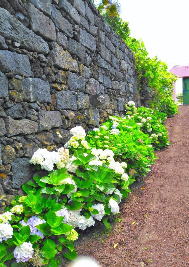 Quinta Nossa Senhora de Lourdes Capelas Exterior foto